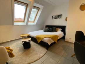 Studio Penthouse Nieuwpoort